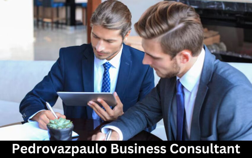 Pedrovazpaulo Business Consultant