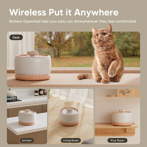 wopet pet water fountain with no noise production